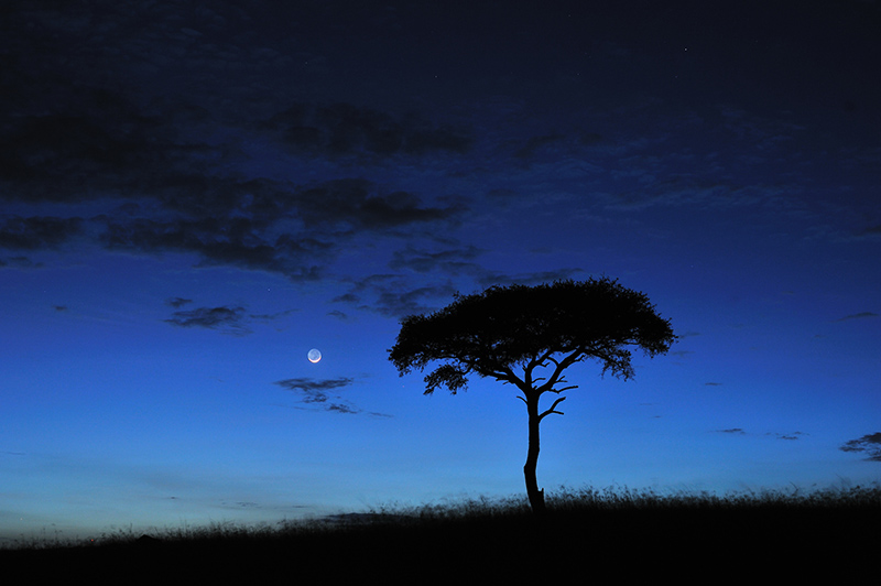 Lune Kenya - Olivier Sauzereau